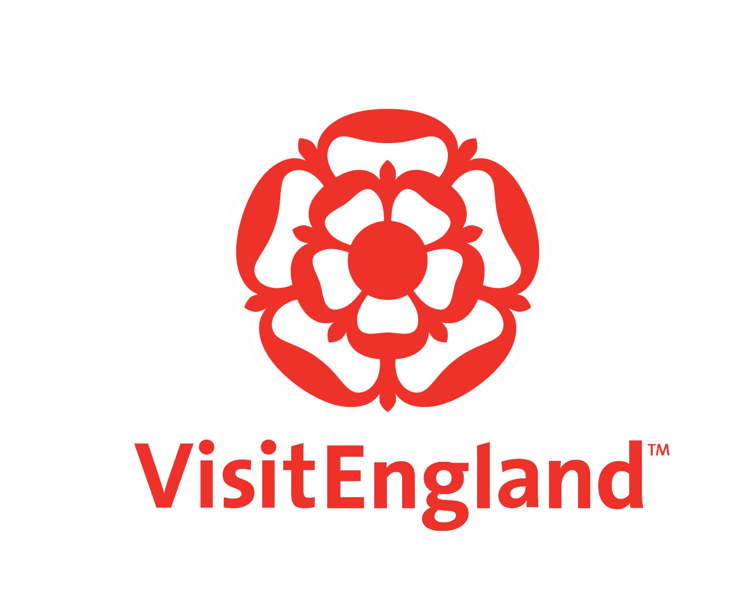 VE Logo Portrait RED Scaled